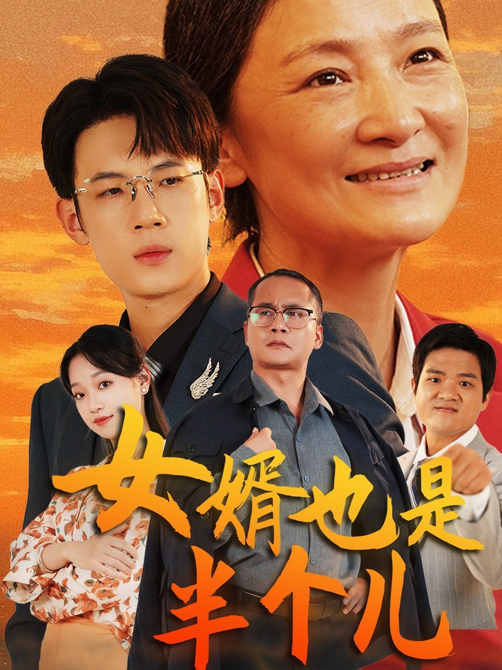 女婿也是半个儿封面图