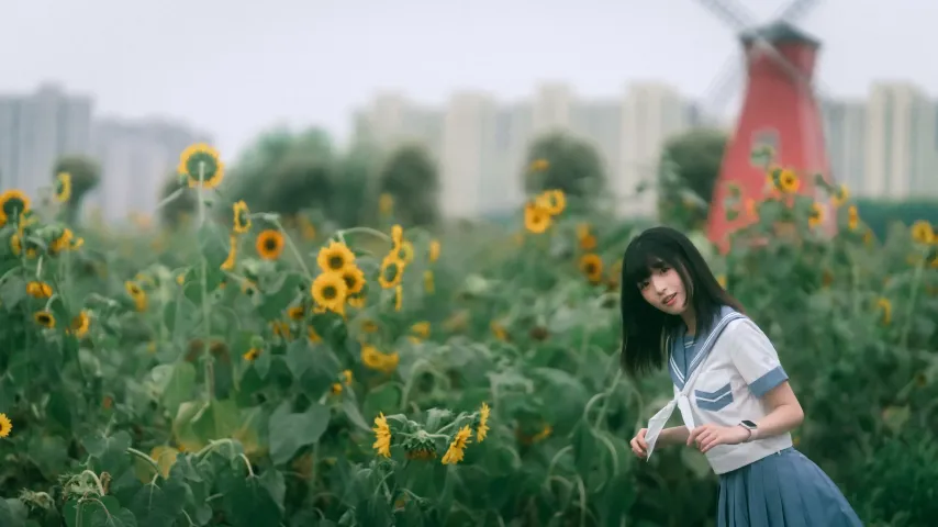 向日葵田里的阿拉夫德女人，背景是风车