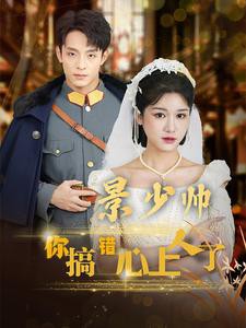 景少帅你搞错心上人了封面图