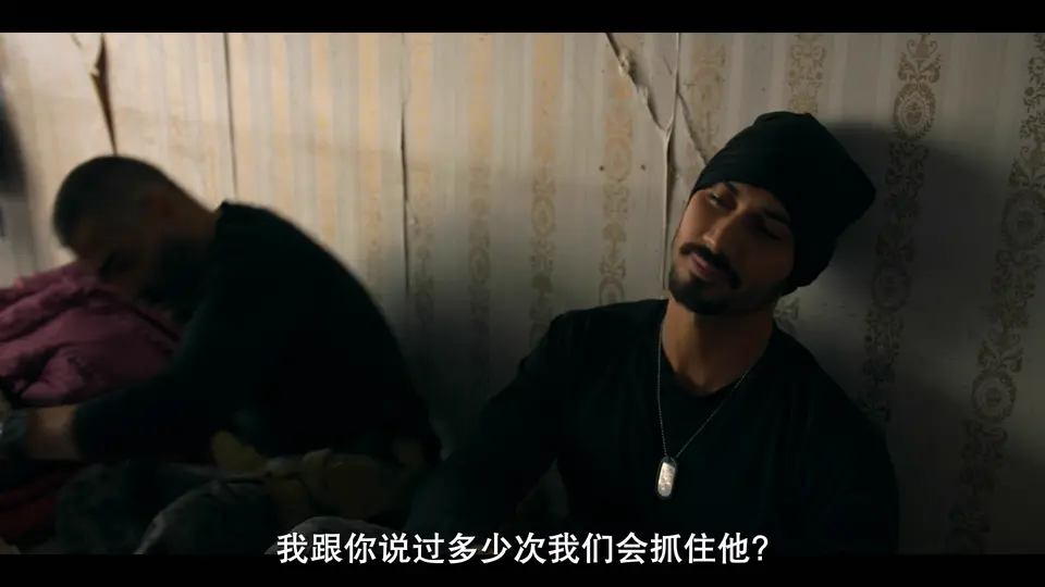 2026惊悚犯罪《复仇双雄》HD1080P.西班牙语中字截图