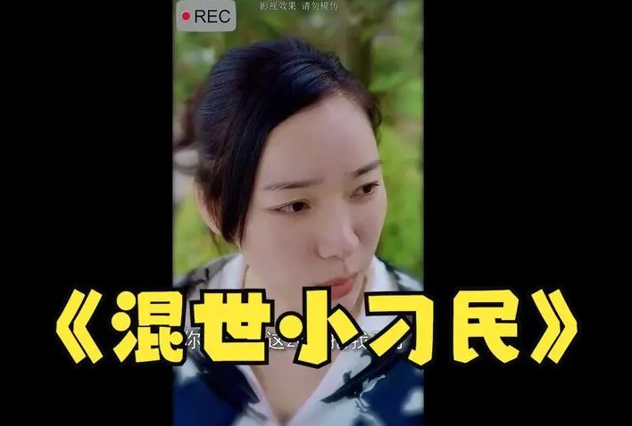 混世小刁民封面图