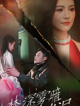 林深雾暗晓光迟封面图