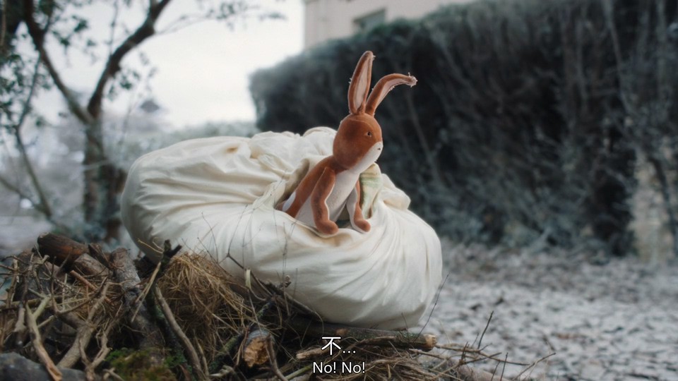 2023动画短片《天鹅绒兔子》HD1080P.英语中英双字截图