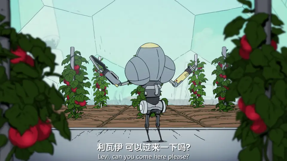 拾荒者统治剧照