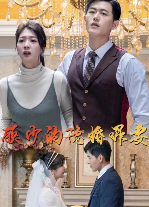 顾少的隐婚罪妻封面图