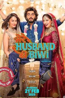 我丈夫的妻子封面图