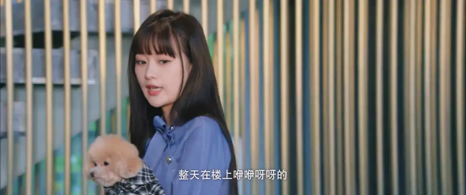 2025国剧《二重赋格》更至07集.HD1080P.国语中字截图