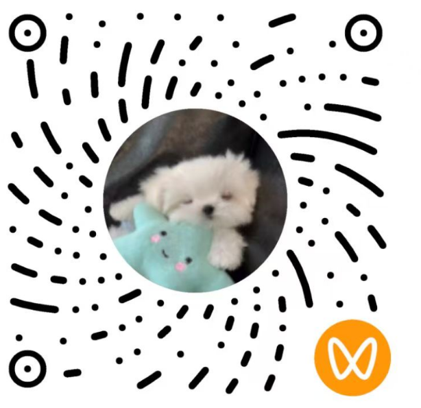视频号二维码