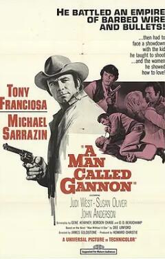 原野独行侠封面图