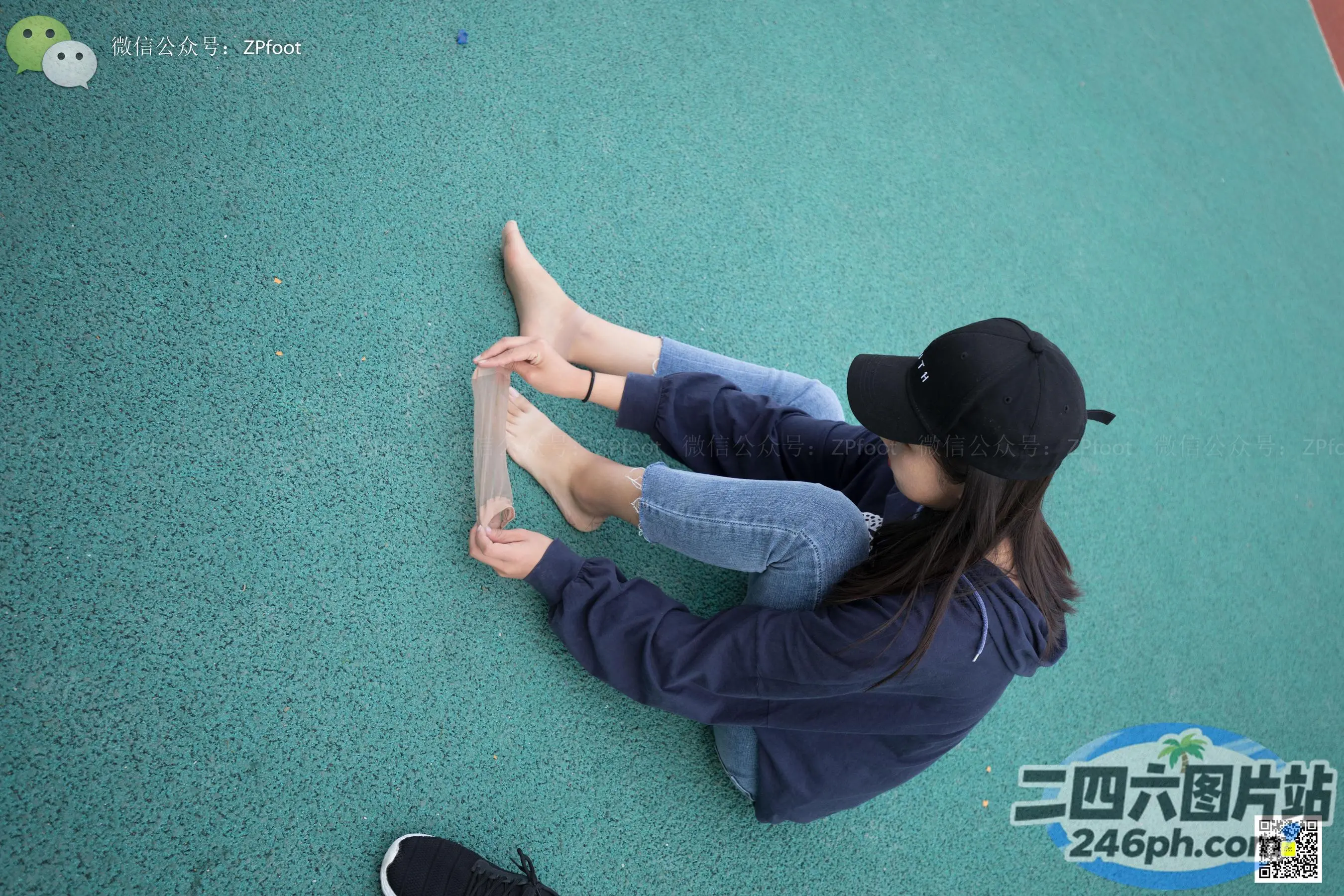 阿拉菲双叉坐在地上