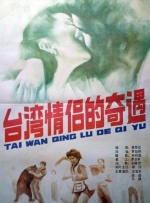 台湾情侣的奇遇封面图