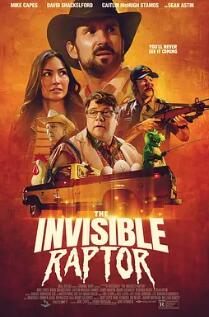 隐形猛禽封面图