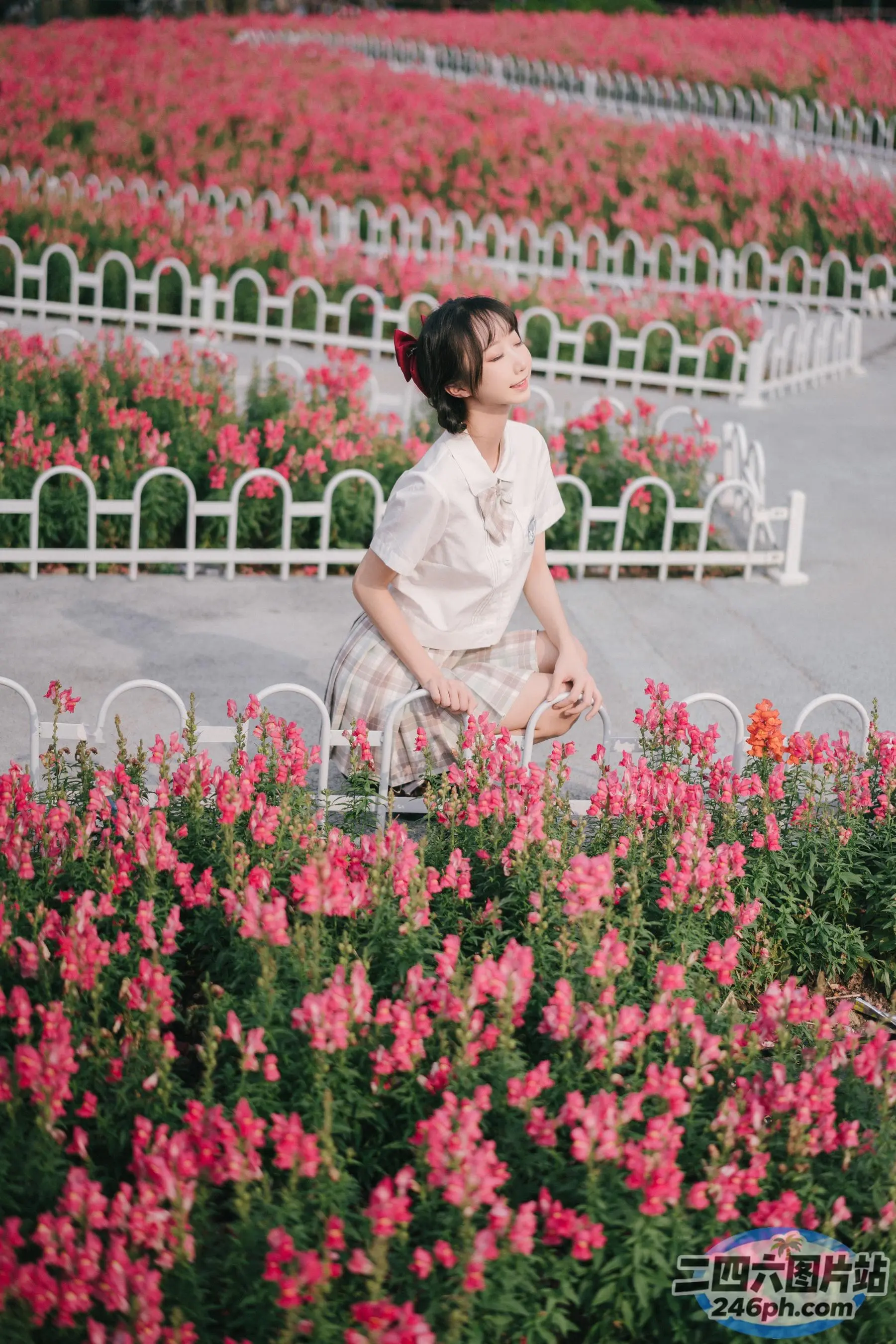 有个女人坐在花田里的椅子上