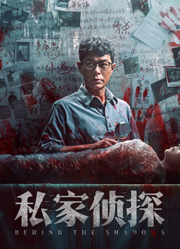 私家侦探封面图