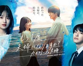 要再做一次夫妇吗：伪装夫妇：封面图