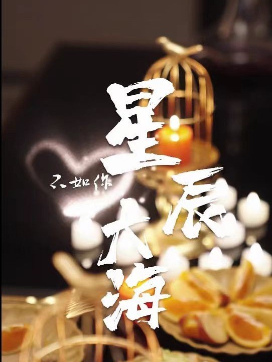 星辰大海不如你封面图