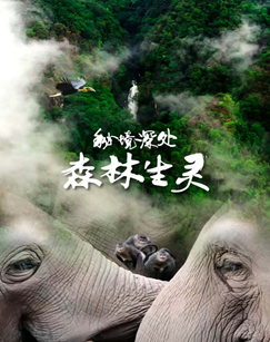 秘境深处封面图