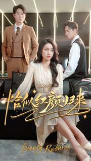 恰似红颜归来封面图