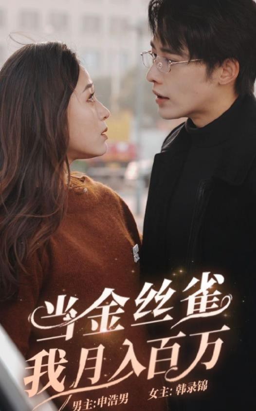 当金丝雀月我入百万封面图