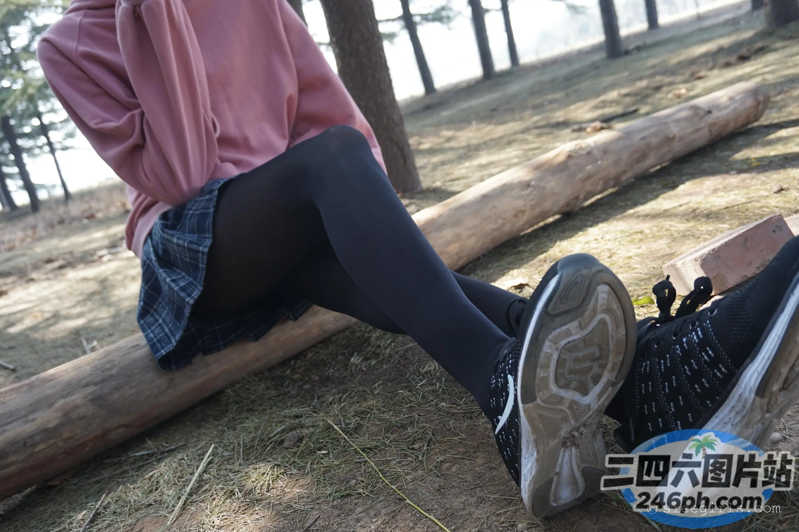阿拉菲坐在树林里的一根木头上，双脚着地