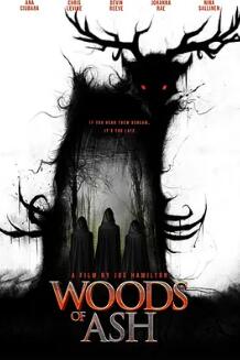 灰烬森林封面图