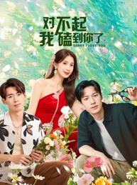 对不起，我磕到你了封面图