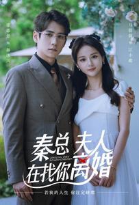 秦总夫人在找你离婚封面图