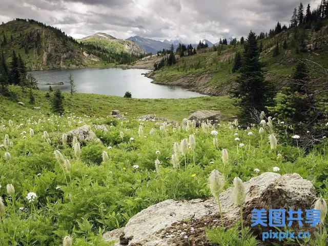 湖前有一大片草地和鲜花