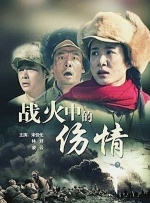 战火中的伤情封面图
