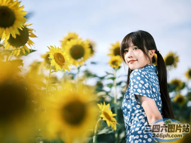 歌词大意： 有一个女人站在一片向日葵田里