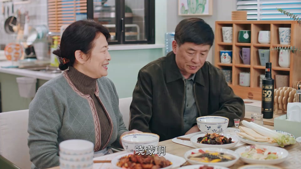 2024国剧《上有老下有小》40集全.HD1080P.国语中字截图