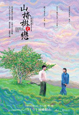 山楂树之恋2010封面图