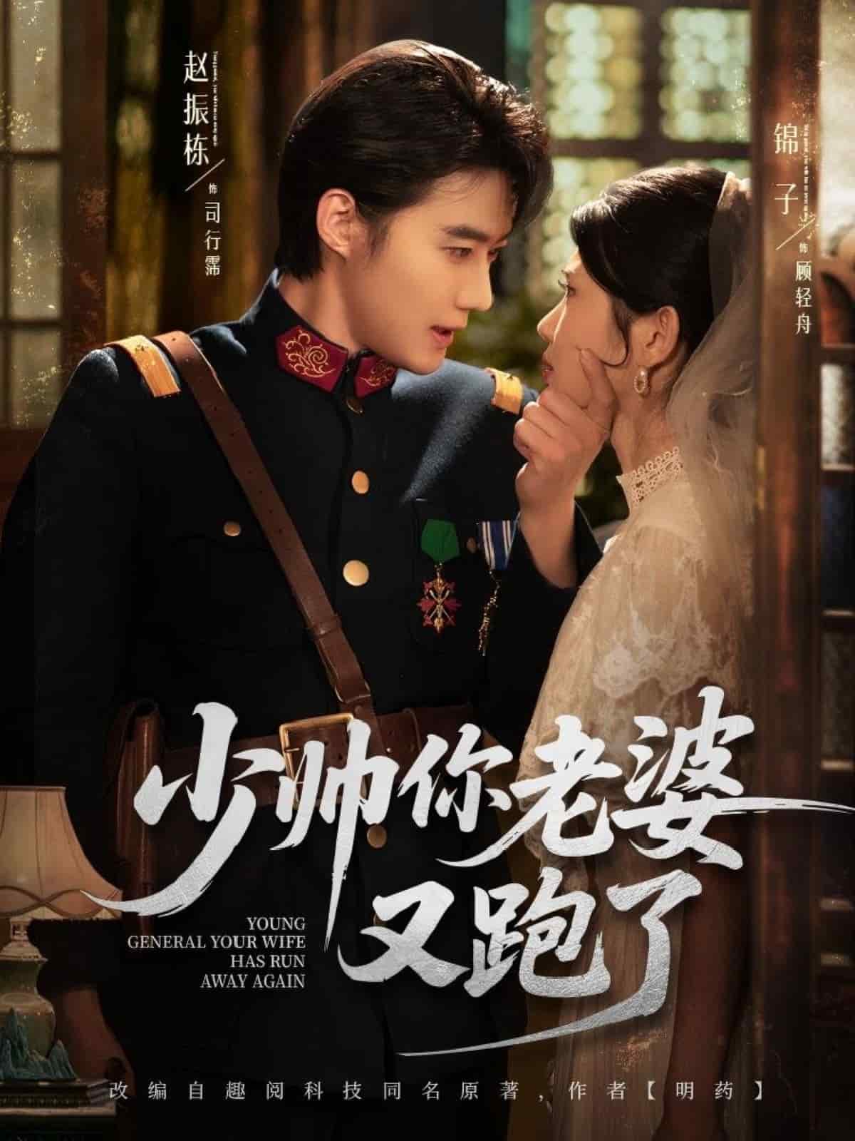 少帅你老婆又跑了封面图