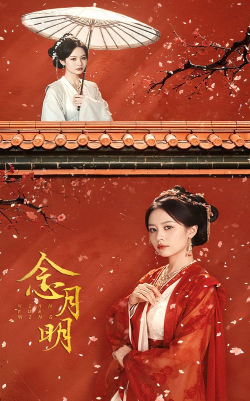 农村里飞出金凤凰封面图