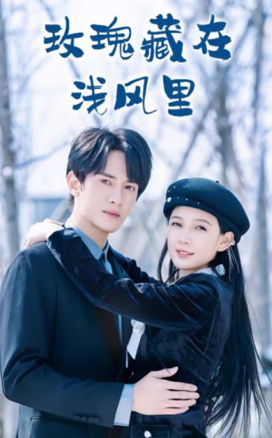 玫瑰藏在浅风里封面图