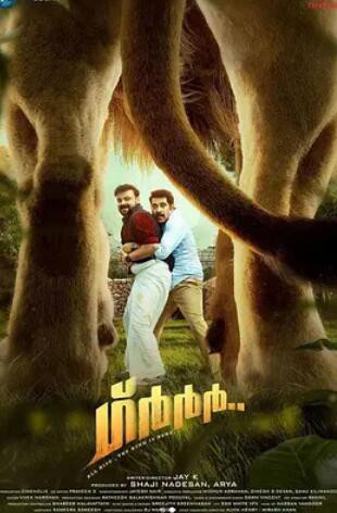 身陷囹圄封面图