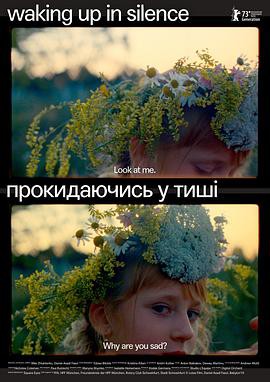 在寂静中醒来封面图