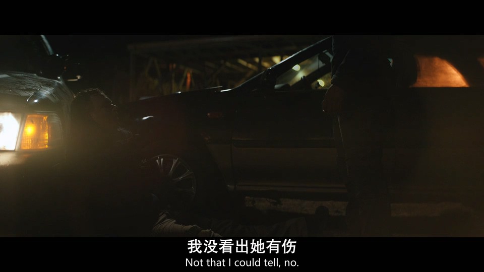 叛军岭剧照
