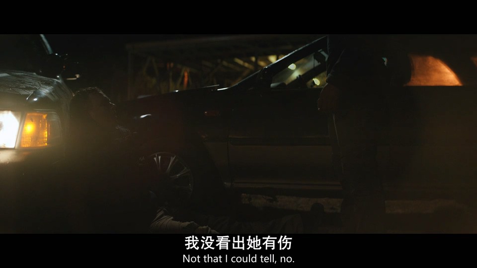 2024惊悚动作《逆岭》HD1080P.英语中英双字截图