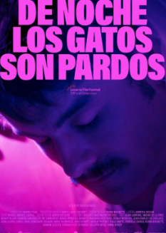 晚上所有的猫都是黑的封面图