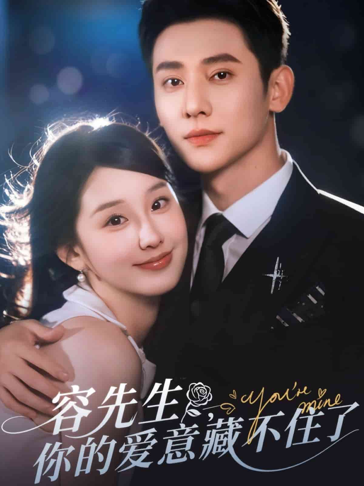容先生你的爱意藏不住了封面图