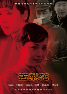 苦菜花封面图