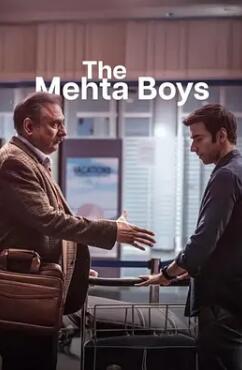 梅塔男孩封面图