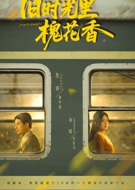 旧时光里槐花香封面图