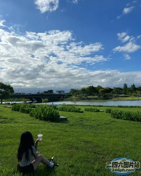 Araffe 坐在公园的草地上，天空中放着风筝