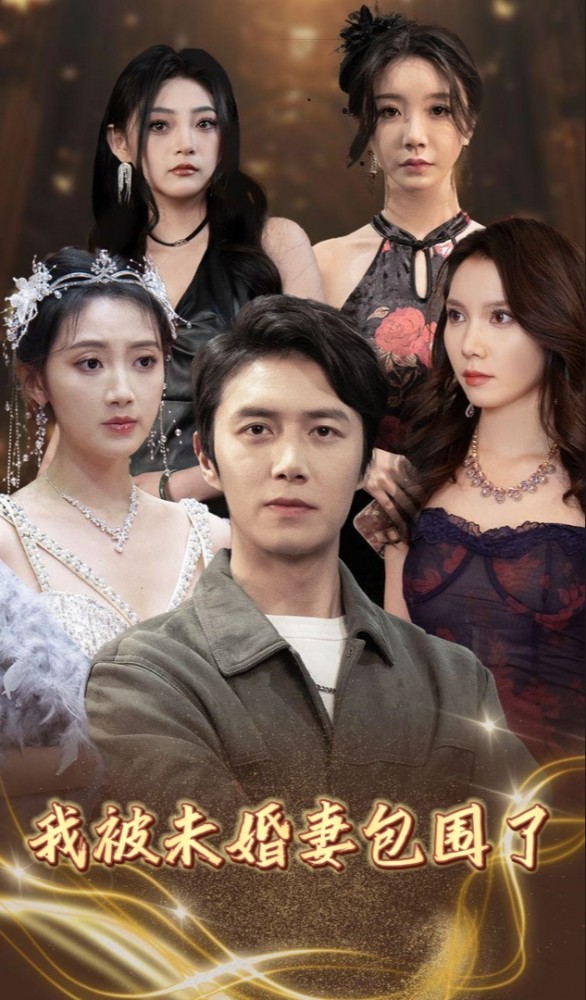 我被未婚妻包围了封面图