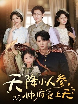 天降小人参帅府宠上天封面图