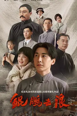 2023国剧《鲲鹏击浪》35集全.HD1080P.国语中字-有趣BT