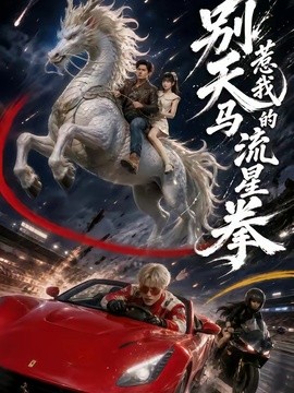 别惹我的天马流星拳封面图