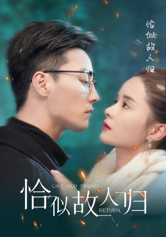 恰似故人归封面图
